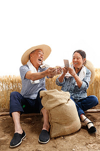 直播聊天摄影照片_农民夫妇在麦田里用手机视频