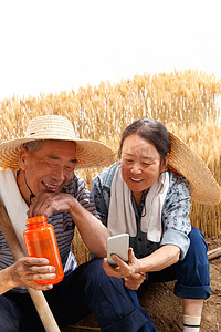 农民夫妇坐在麦田里用手机视频
