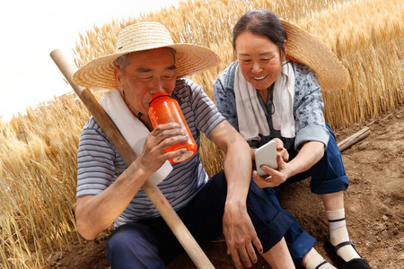 农村直播摄影照片_农民夫妇坐在麦田里用手机视频