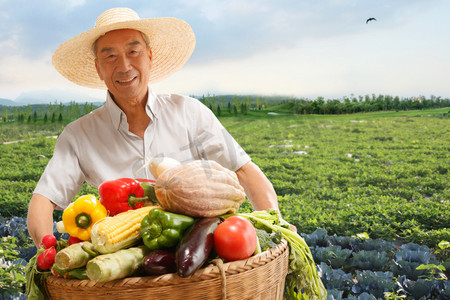 辣椒种植摄影照片_农民在田头拿着一筐蔬菜