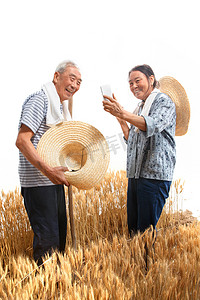 农村直播摄影照片_农民夫妇在麦田里用手机视频