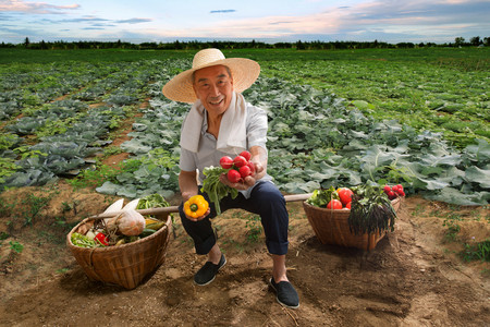 萝卜图片摄影照片_坐在田头的农民