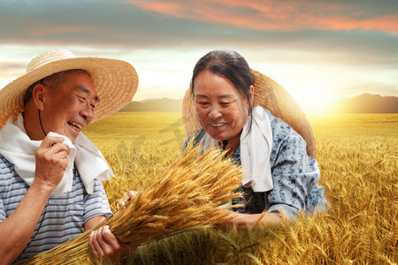 小麦麦穗摄影照片_农民夫妇在麦田里劳动