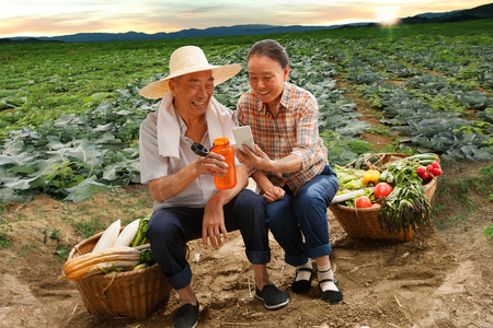 农村直播摄影照片_农民夫妇坐在田头看手机