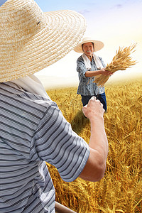 农民夫妇在麦田里收割麦子