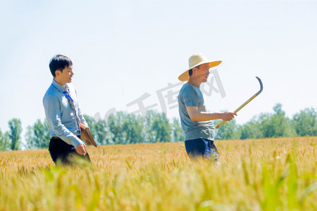 科研人员和农民在麦田里交流技术