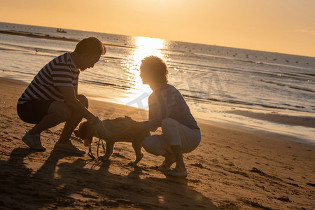老年狗摄影照片_老年夫妇带着宠物狗在海边散步