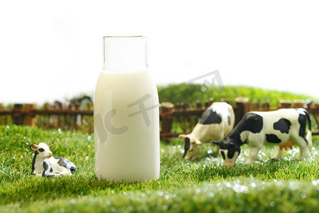 木瓜桃胶炖牛奶摄影照片_牛奶牧场