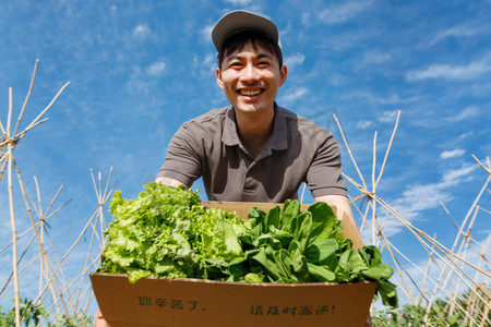 杂物箱子摄影照片_菜地里抱着新鲜蔬菜的快递员