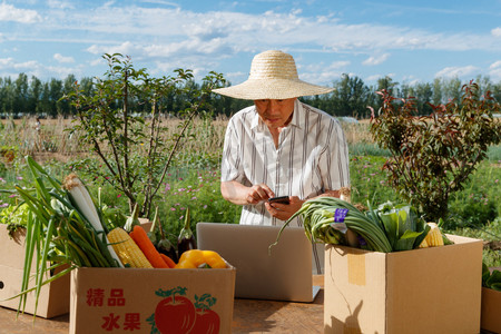 介绍人物摄影照片_农民在线直播销售农产品