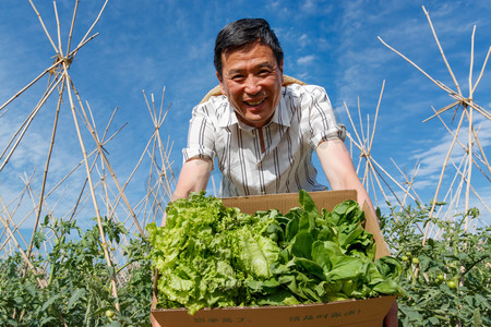蓝天田地摄影照片_农民拿着一箱蔬菜