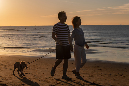 海边晚霞摄影照片_老年夫妇带着宠物狗在海边散步