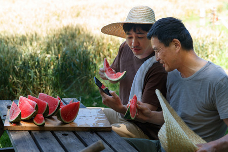 西瓜摄影照片_农民在田地旁休息吃西瓜