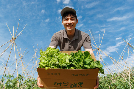 绿色纯天然摄影照片_菜地里抱着新鲜蔬菜的快递员