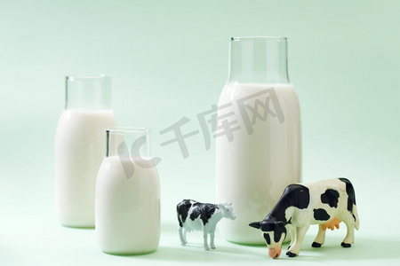 可爱的创意的摄影照片_牛奶和奶牛