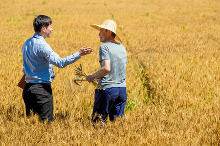 助农摄影照片_科研人员和农民在麦田里交流技术