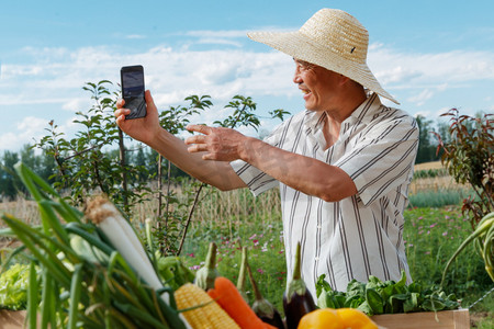 在线支付图片摄影照片_农民在线直播销售农产品