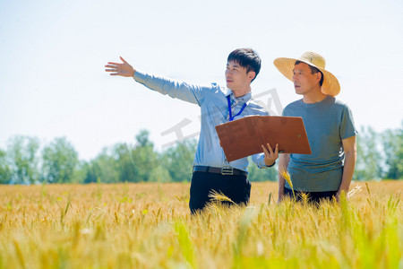 青年农业摄影照片_科研人员和农民在麦田里交流技术