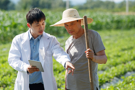 科研人员和农民在菜地里交流技术