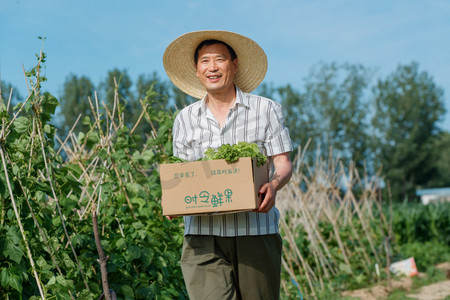 体力活动摄影照片_农民拿着一箱蔬菜