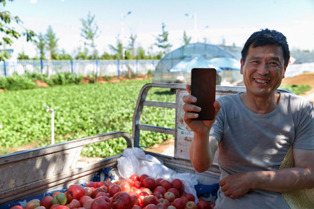 手机卖摄影照片_卖西红柿的农民
