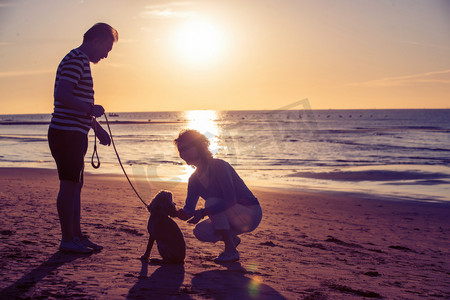 老年夫妇带着宠物狗在海边玩耍