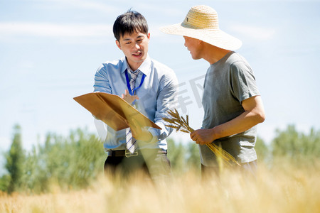 助农摄影照片_科研人员和农民在麦田里交流技术