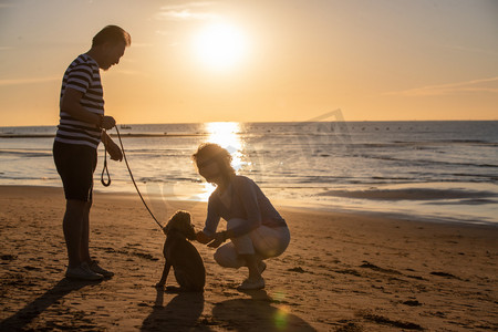 老年夫妇带着宠物狗在海边散步
