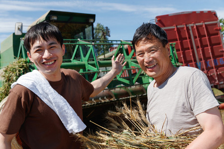 抱麦子麦子摄影照片_农田里实现机械化收割的农民