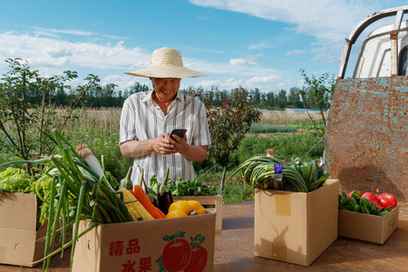 在线支付图片摄影照片_农民在线直播销售农产品