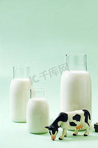清新可爱动物摄影照片_牛奶和奶牛