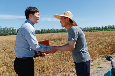 麦田里农民感谢科研人员