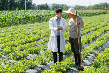 科研人员和农民在菜地里交流技术