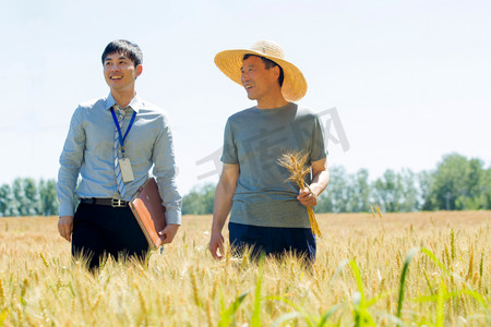 助农摄影照片_科研人员和农民在麦田里交流技术