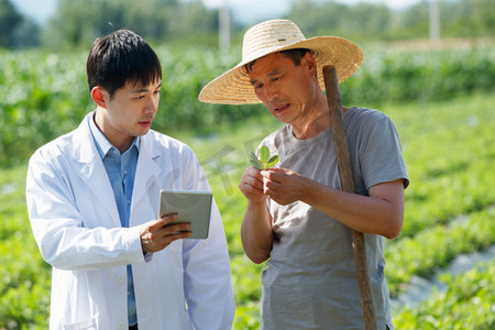 农业科研摄影照片_科研人员和农民在菜地里交流技术