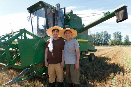 农业机械化摄影照片_农田里实现机械化收割的农民