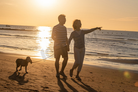 老年夫妇带着宠物狗在海边散步
