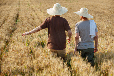 青年农业摄影照片_科研人员和农民在麦田里交流技术的背影