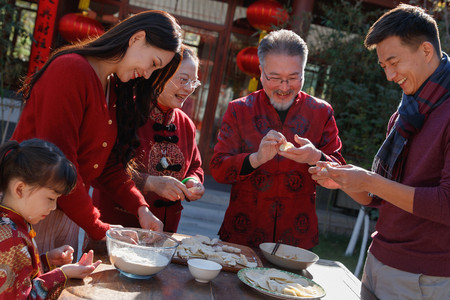 团圆新年摄影照片_幸福家庭回家与老人团聚过新年