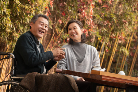 快乐的家园摄影照片_快乐的老年夫妇在庭院内品茶