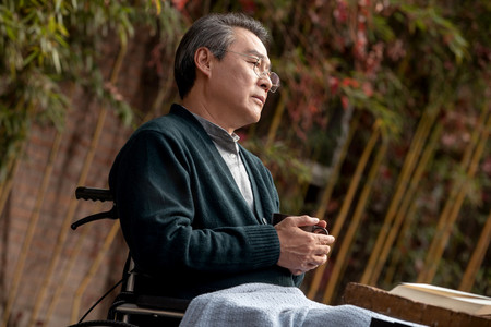 孤独的老年男人坐在院子里