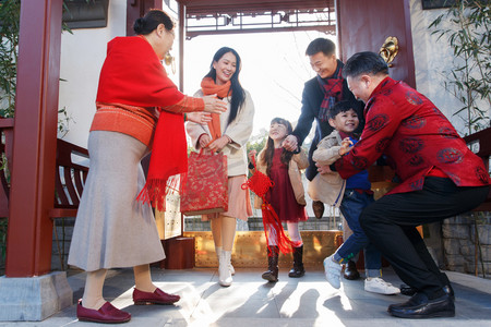 步行回家摄影照片_幸福家庭回家与老人团聚过新年