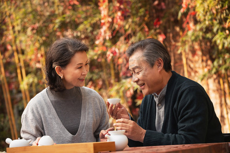 品茶摄影照片_老年夫妇在庭院内品茶