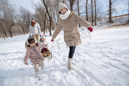 雪树林摄影照片_欢乐家庭在雪地上玩雪橇