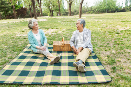 老年夫妇坐在公园草地上