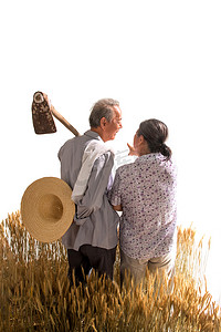 农民夫妇摄影照片_老年夫妇在麦田