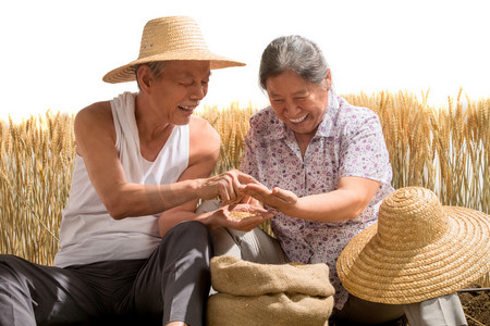 新中国70摄影照片_老年夫妇捧着稻谷