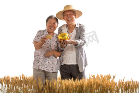 健康养老幸福养老摄影照片_老年夫妇在麦田