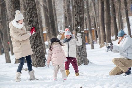 雪树林摄影照片_雪地里打雪仗的快乐家庭