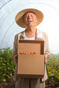 温室图片摄影照片_老农民出示自家水果